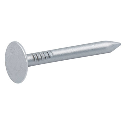 Diall Galvanised Clout Nail (L)30Mm (Dia)3Mm 2Kg