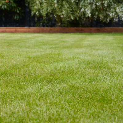 Verve Universal Grass Seeds, 10Kg 400M²