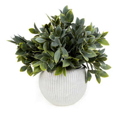 Candlelight Green & Cream 26Cm Fern Pot With Artificial Fern In Cream Ribbed Ceramic Pot
