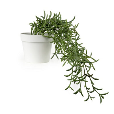 Candlelight Green & White 24Cm Othonna Artificial Plant In White Plastic Pot