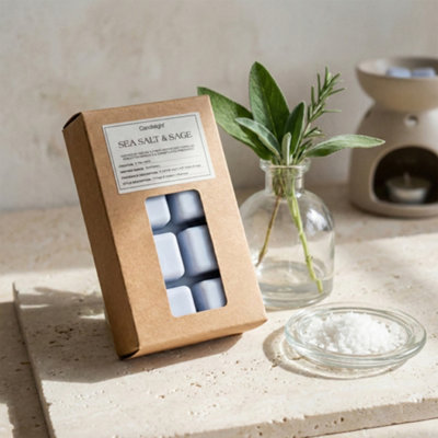 Candlelight Light Blue Plain Sea Salt & Sage Small Wax Melt