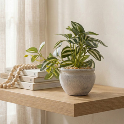 Candlelight Green 17.5Cm Tradescantia Pot With Artificial Plant In White Rustic Cement Pot