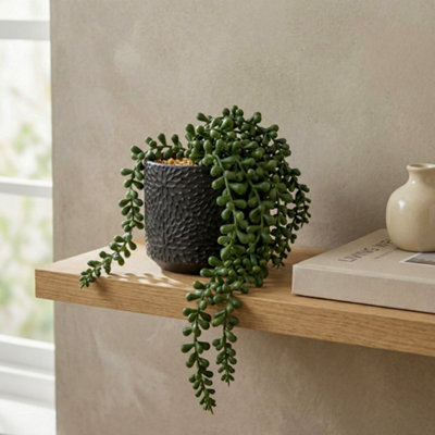 Candlelight Green 11Cm String Of Pearls Pot With Artificial Plant In Black Debossed Ceramic Pot