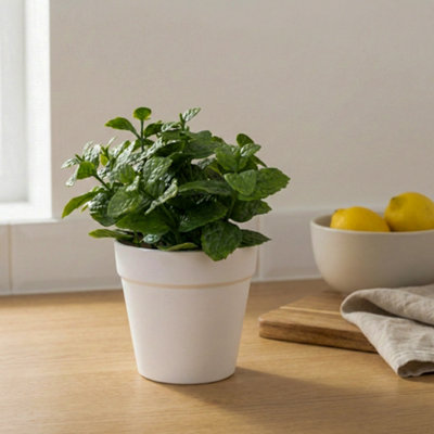Candlelight Green 16Cm Mint Pot With Artificial Plant In White Plastic Pot