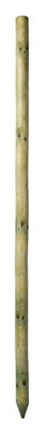 Grange Timber Tree Pole (L)1.8M (W)40Mm