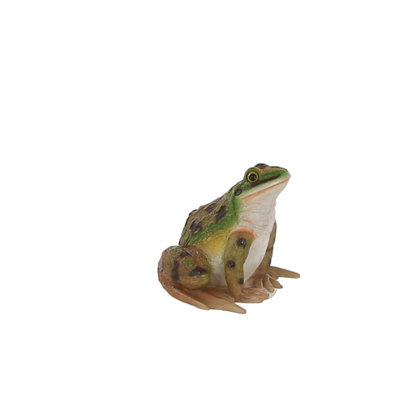 Terrastyle Green, White Resin Toad Garden Ornament (H)16.5Cm
