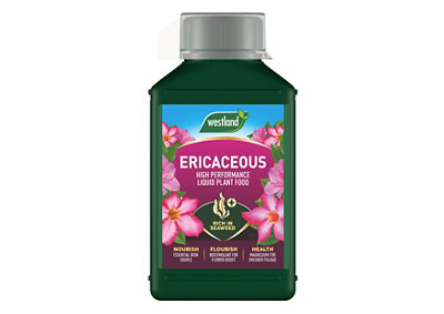 Westland Ericaceous Liquid Flower Plant Feed, 1L