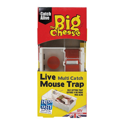 The Big Cheese Mouse Trap (H)44Mm (W)101Mm
