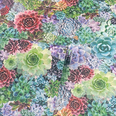 Arthouse Succulent Living Wall Multicolour 3D Effect Smooth Wallpaper
