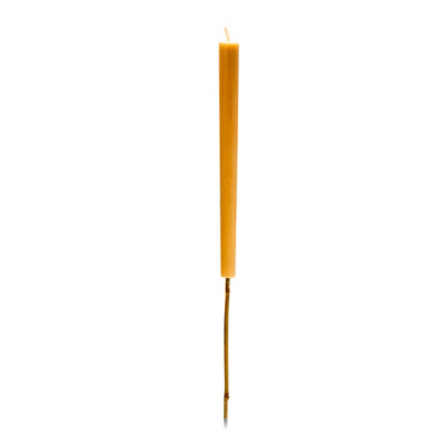 Premier Decorations Limited Amber Gold Citronella Scented Candle