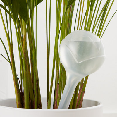 Verve Plant Self Watering Ball, Large 360Ml