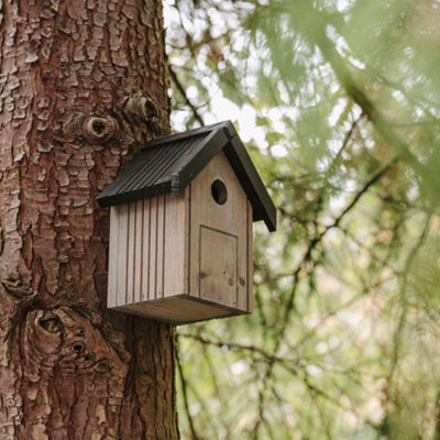 Peckish Blue Tit Natural Wood Nest Box