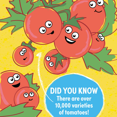 Verve Tomato 'Cherry' Vegetable Seeds
