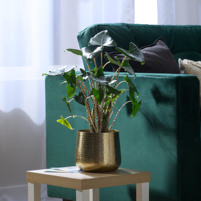 Verve Aged Gold Effect Metal Plant Pot (Dia) 26Cm, (H)25Cm
