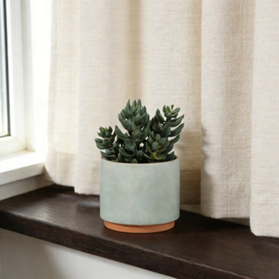 B&Q Green & Yellow 18Cm Succulent Plant Pot With Artificial Plant In Green Ceramic Pot